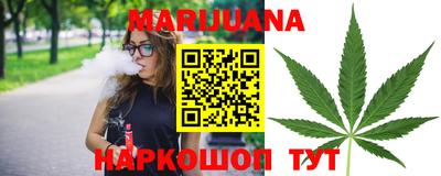 индика Краснознаменск